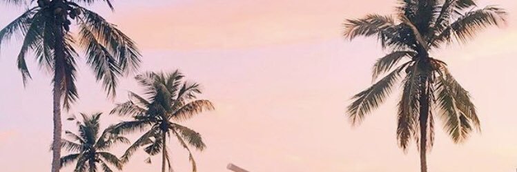 loveeelizz's profile banner image