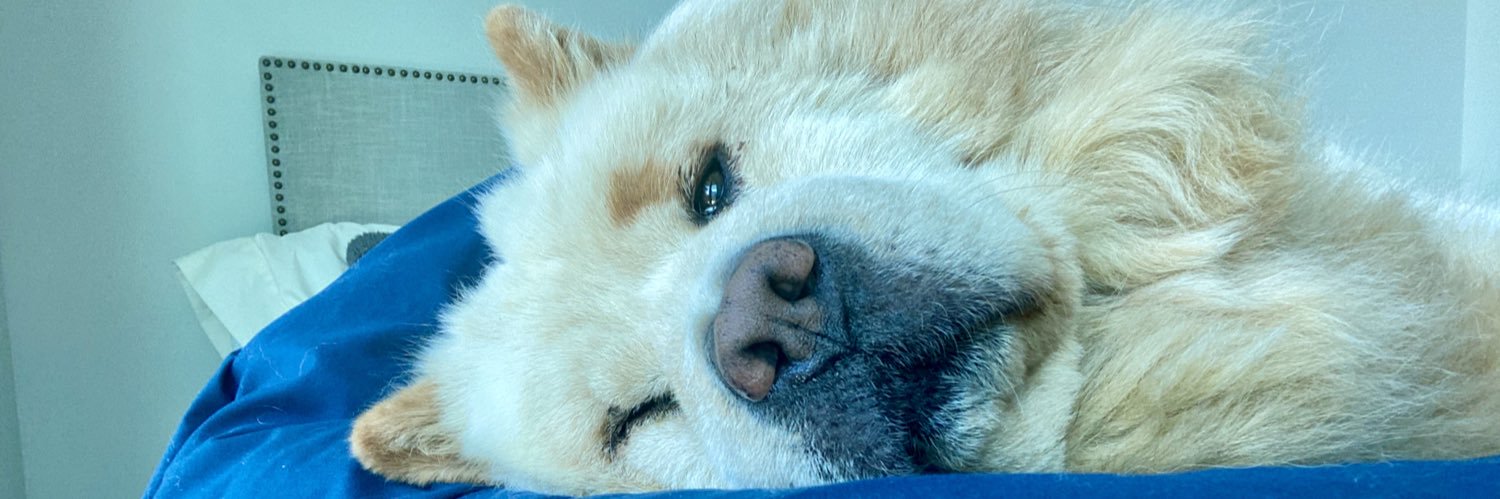 deanna_moon's profile banner image