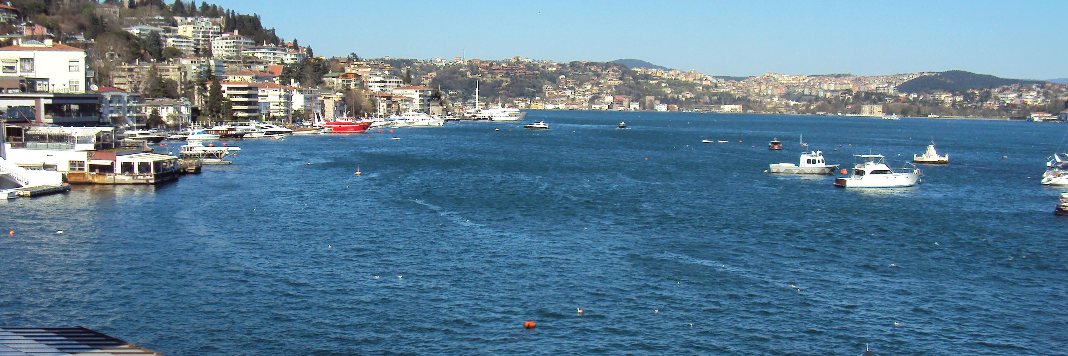 Didem_Turkoglu's profile banner image