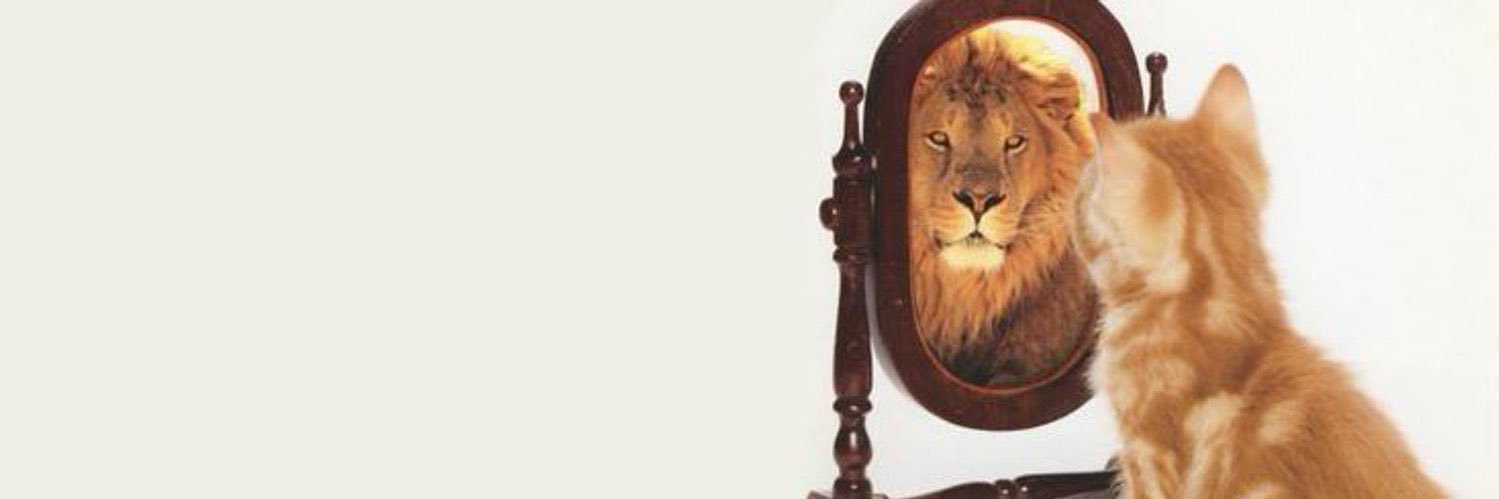 kndd_dd's profile banner image