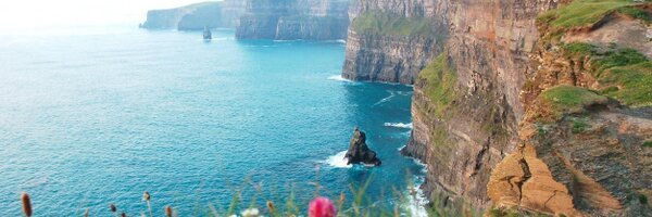 S2Roche Profile Banner