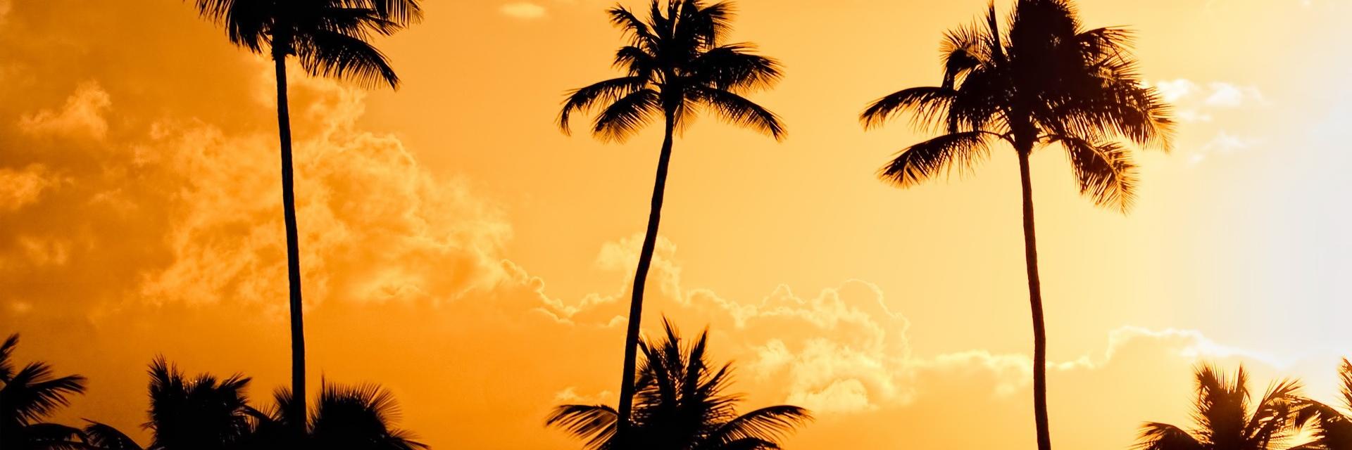 guydemeulenaere's profile banner image
