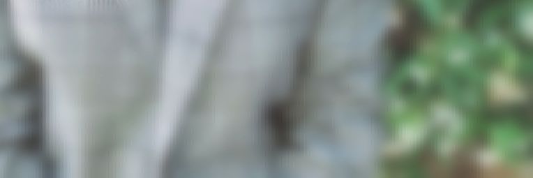 normanipples's profile banner image