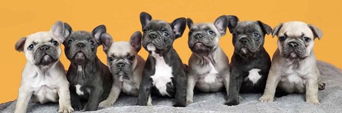 Thomas Luke Robinson banner