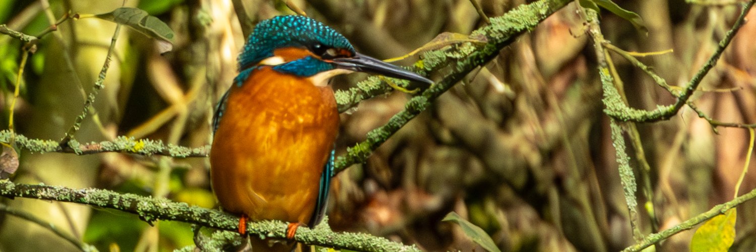 KevinPrice57's profile banner image