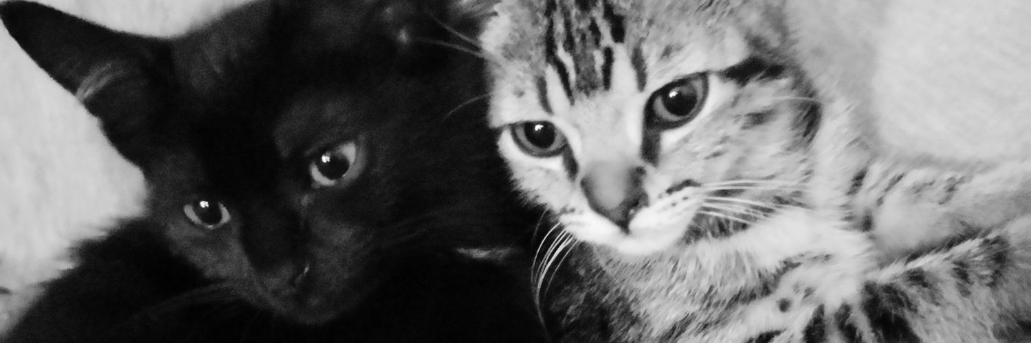 Lpez91's profile banner image