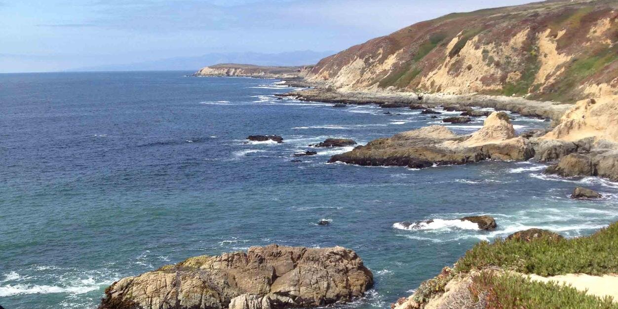 Linda Cabasin banner