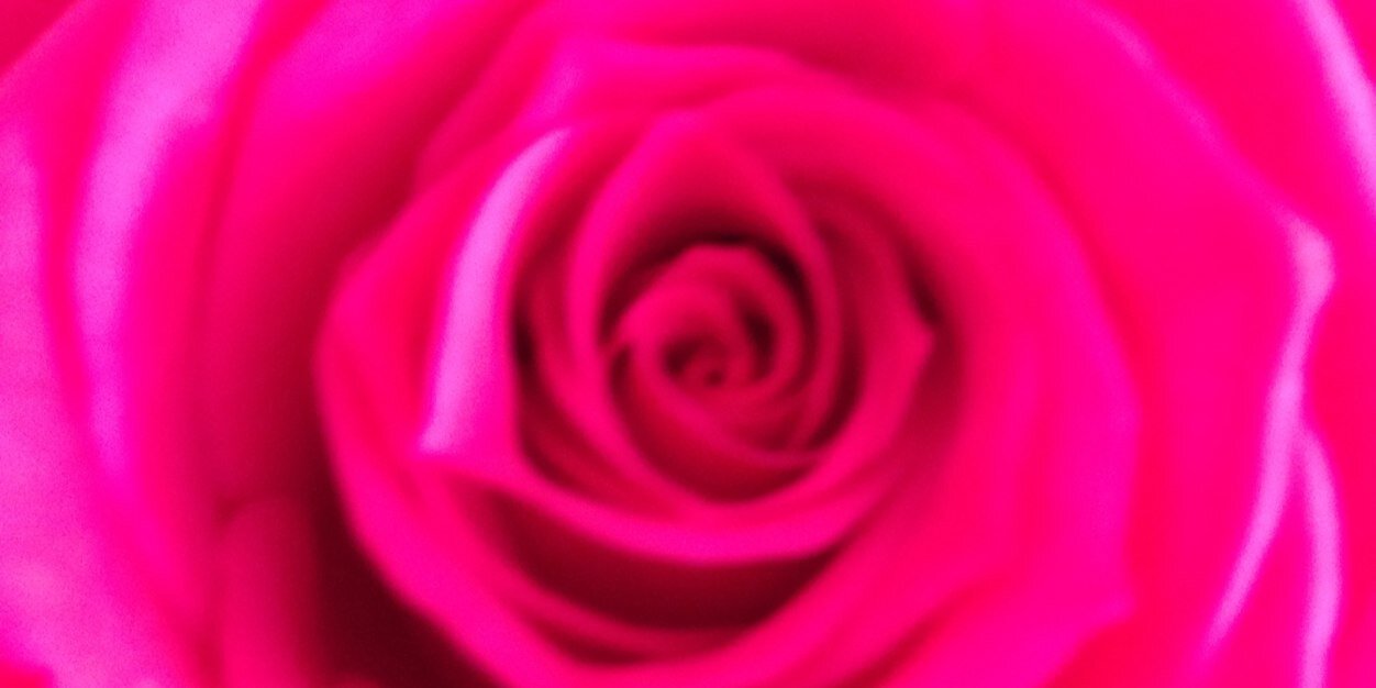 CharlotteRose_D's profile banner image