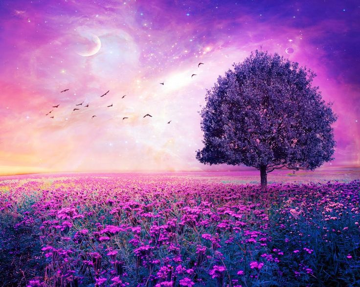 AstridG78's profile banner image