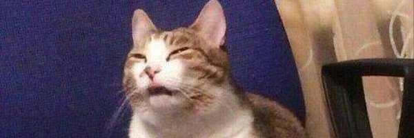 QT0ri Profile Banner