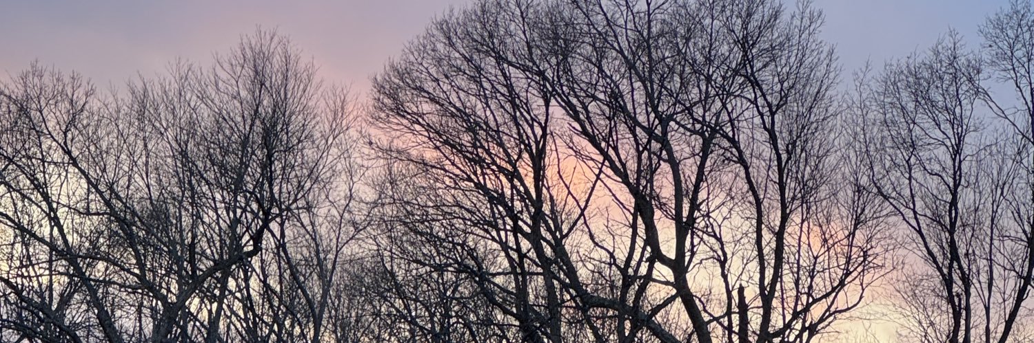 mreneecurtis's profile banner image