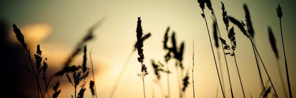 anapc93's profile banner image