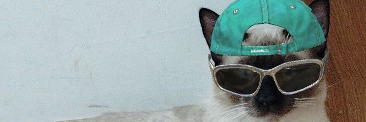djfomiguinha's profile banner image