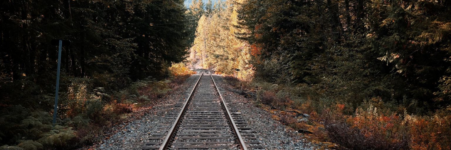 zorotrust's profile banner image