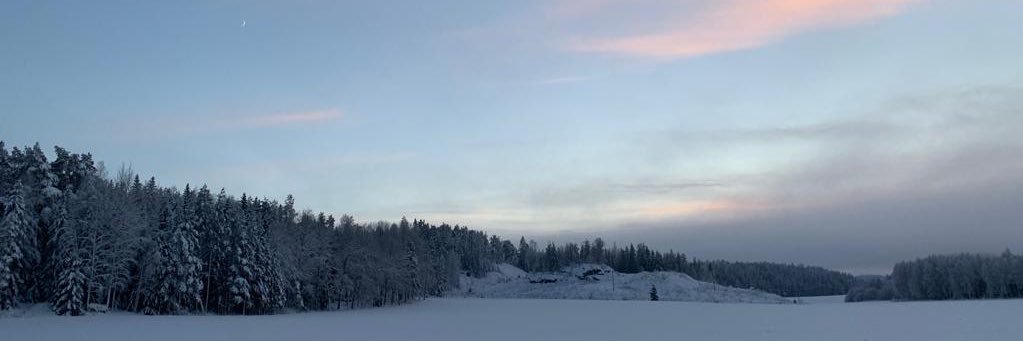 Emma Nylund banner