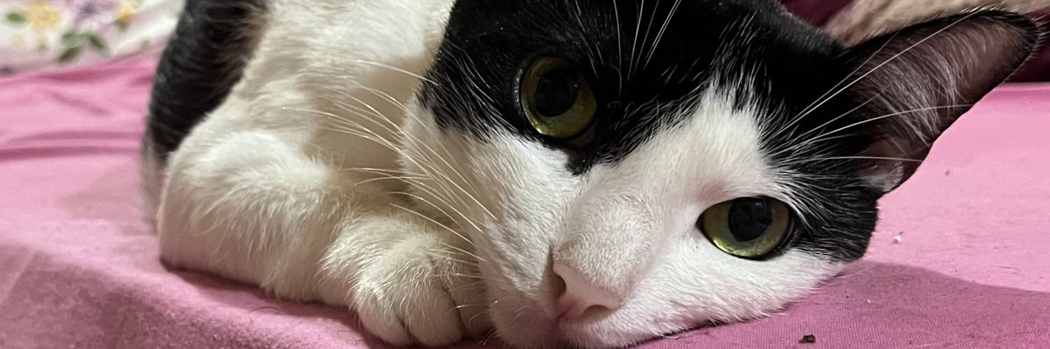 daisybritos_'s profile banner image
