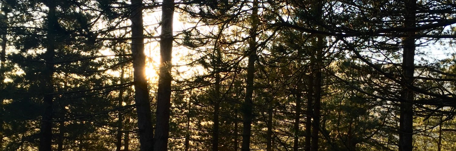 ilargi_6's profile banner image