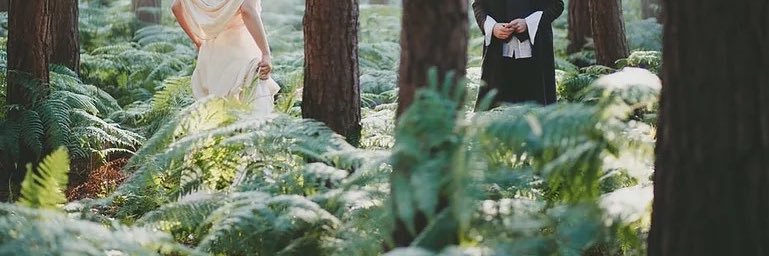 danielley ✨ banner