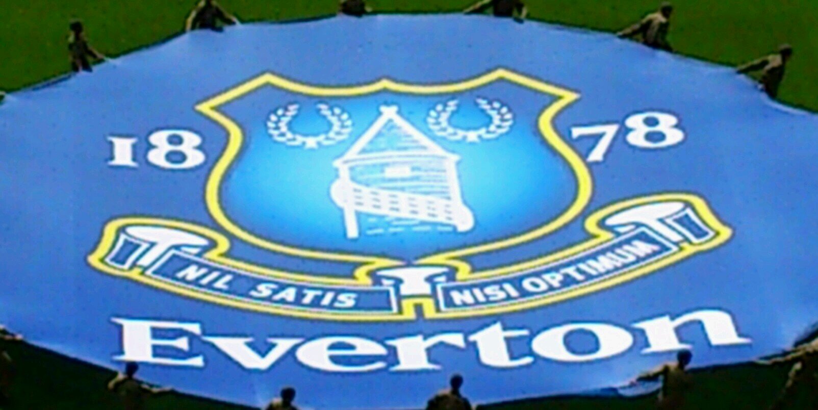 14Treacle's profile banner image