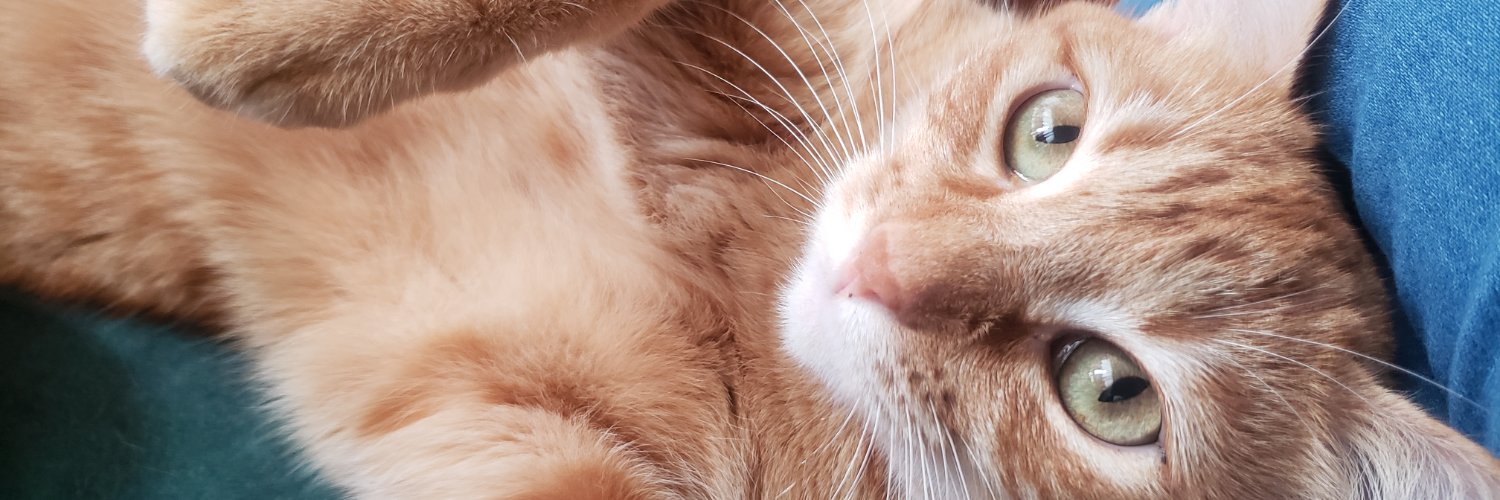 vane_Fer_'s profile banner image