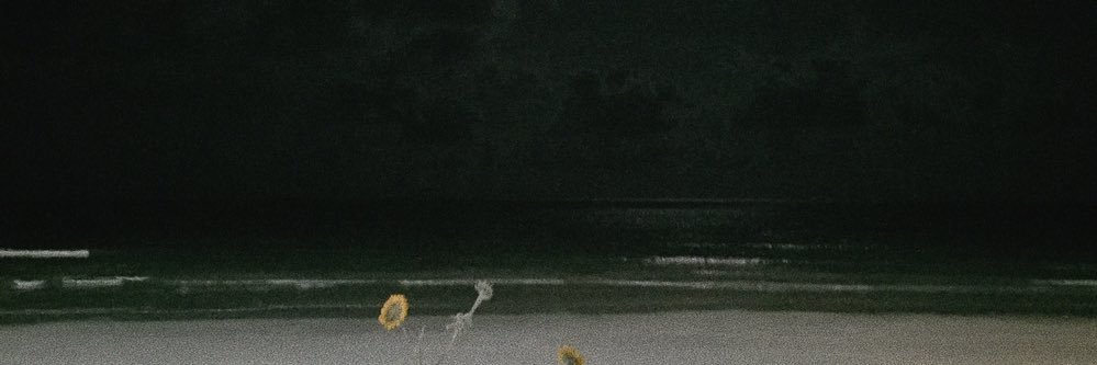 magdalenaminaa's profile banner image
