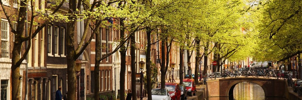 Joost van der Plas banner