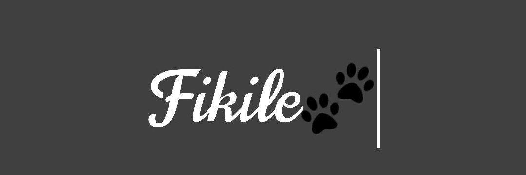 fkay_'s profile banner image