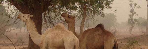 PaulMelly2 Profile Banner