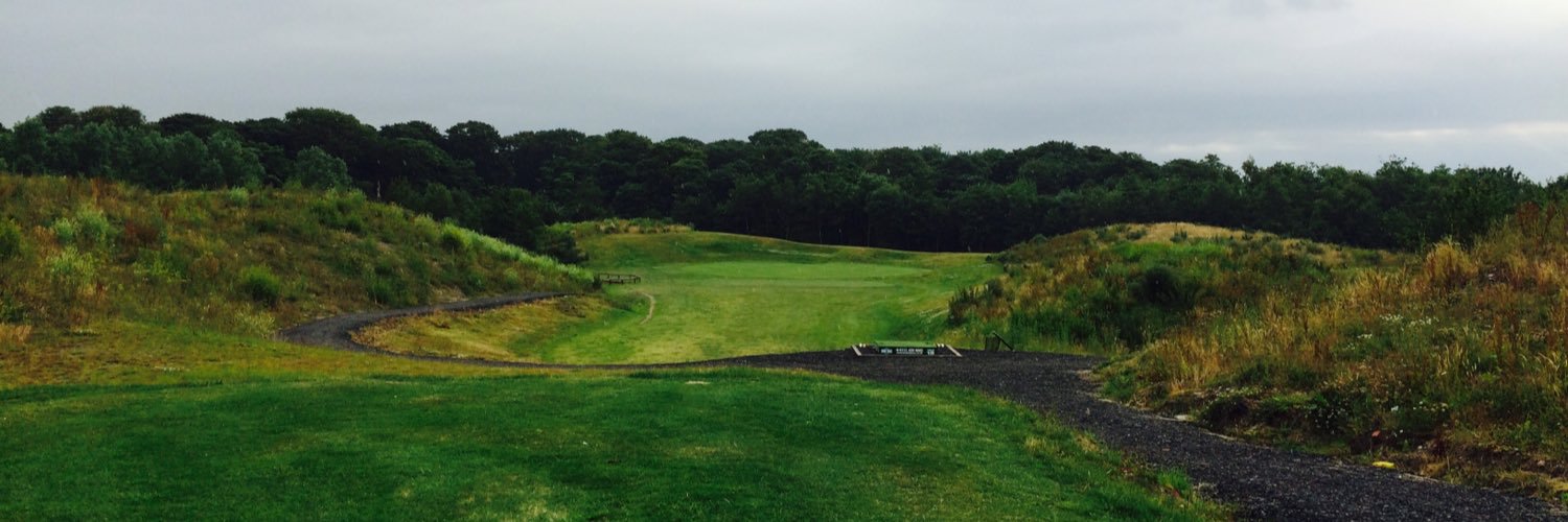 Dchapmangolf's profile banner image