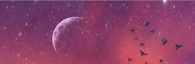 LisRo06's profile banner image