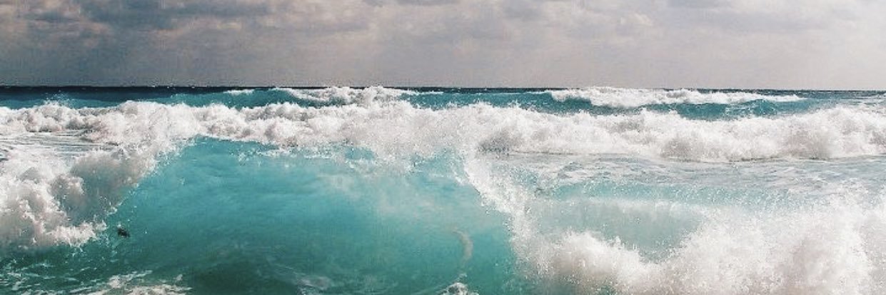 amberlesure21's profile banner image