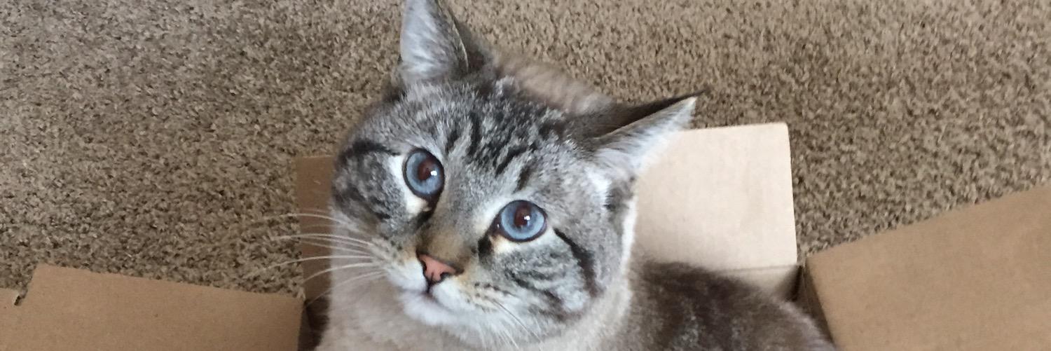 FrankeyBlue's profile banner image