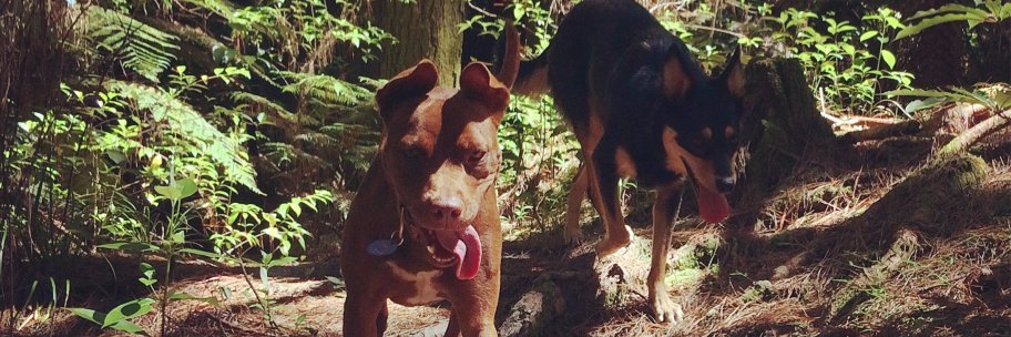 Dan Eberhardt banner