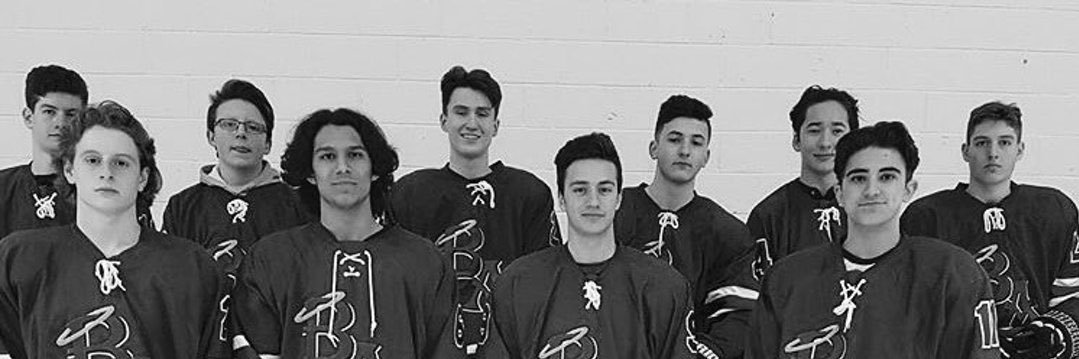 nturgelis's profile banner image