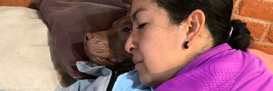 araceli_irma's profile banner image