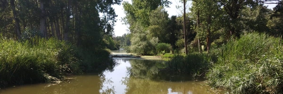DanielTorresPra's profile banner image