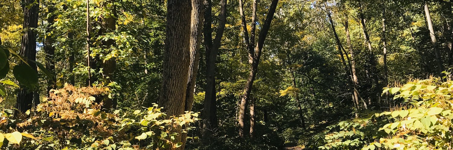 jillberko's profile banner image