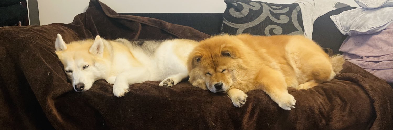 Beckyskitten85's profile banner image