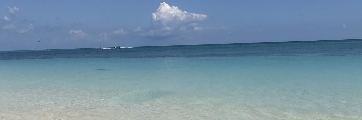 JesiArst's profile banner image