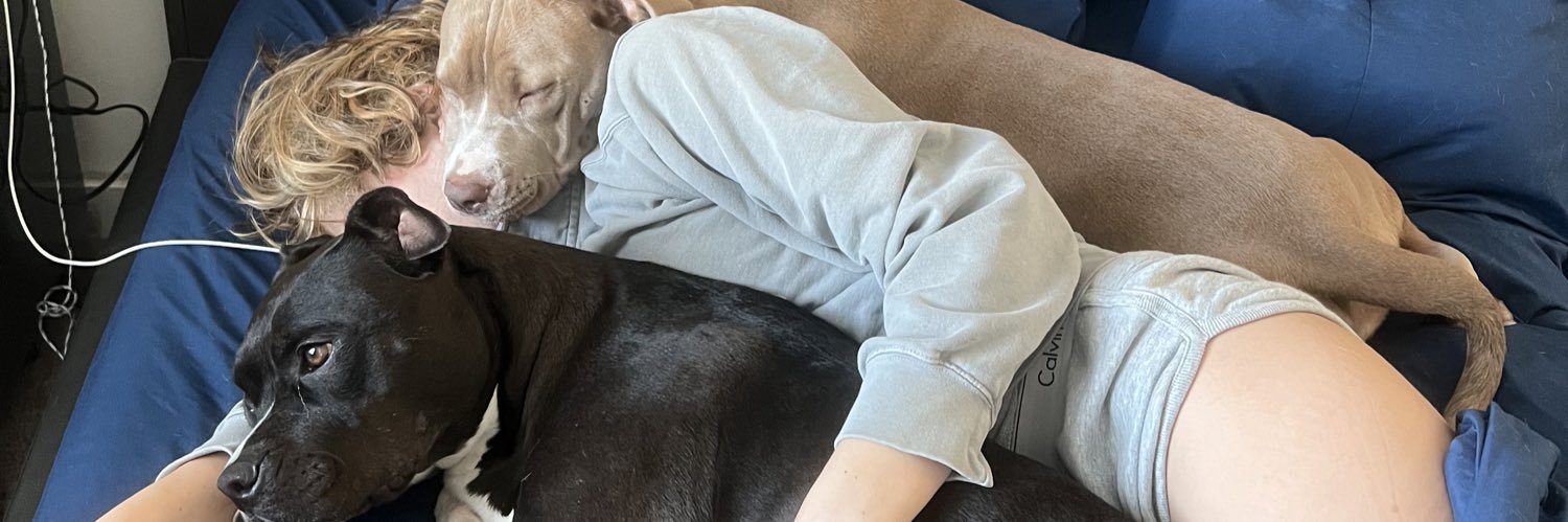 AlexisPinee's profile banner image