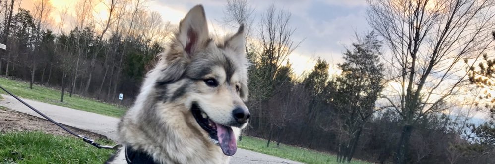 Aaron_Lockhart_'s profile banner image