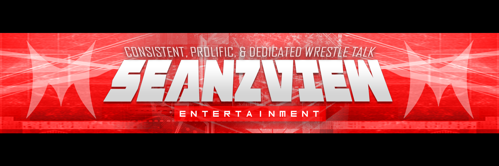 Seanzviewent on Youtube #WWE Insider banner