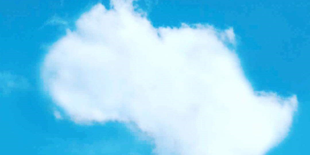 NduEbitea's profile banner image