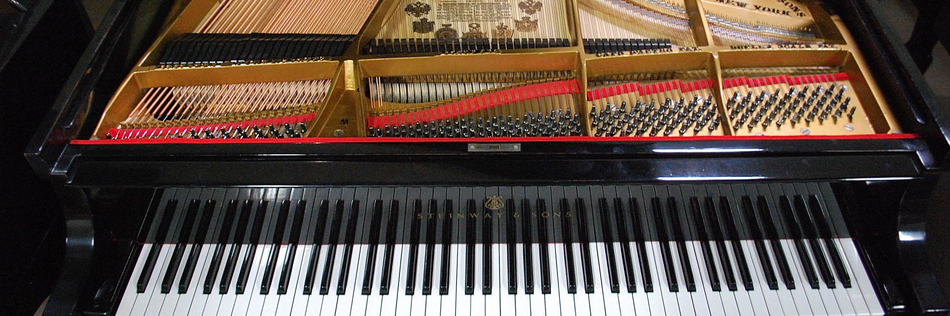 Tobin Mueller banner