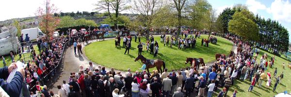 SligoRaces Profile Banner
