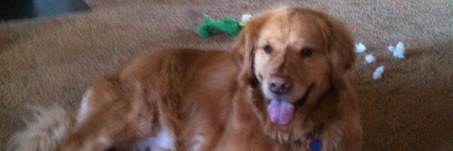 Luke_Catino's profile banner image