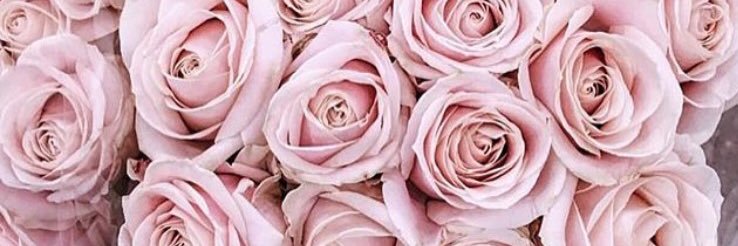 GeorgiaSmith65's profile banner image
