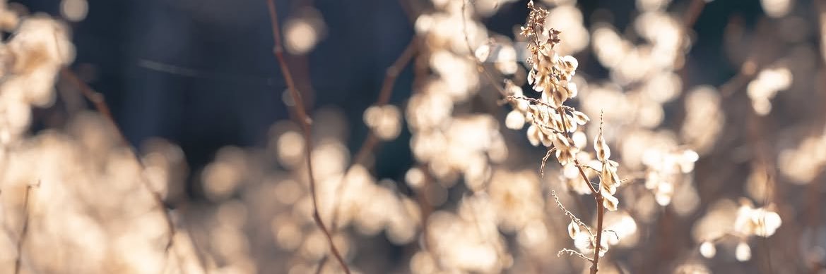 emo_emmm's profile banner image