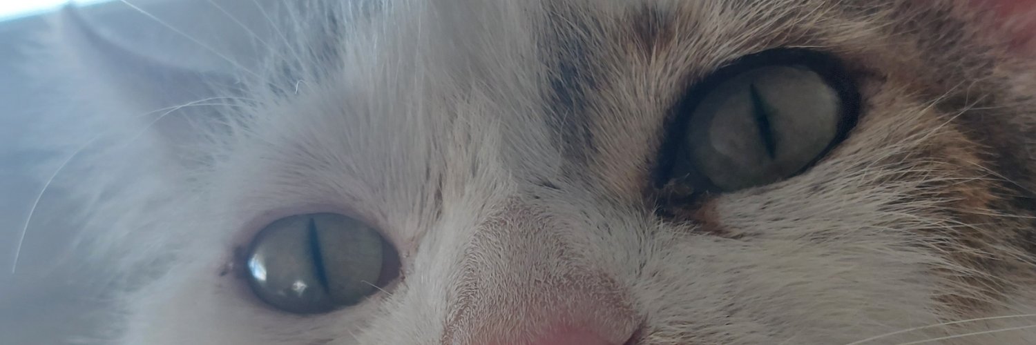 Kenzoryyy's profile banner image