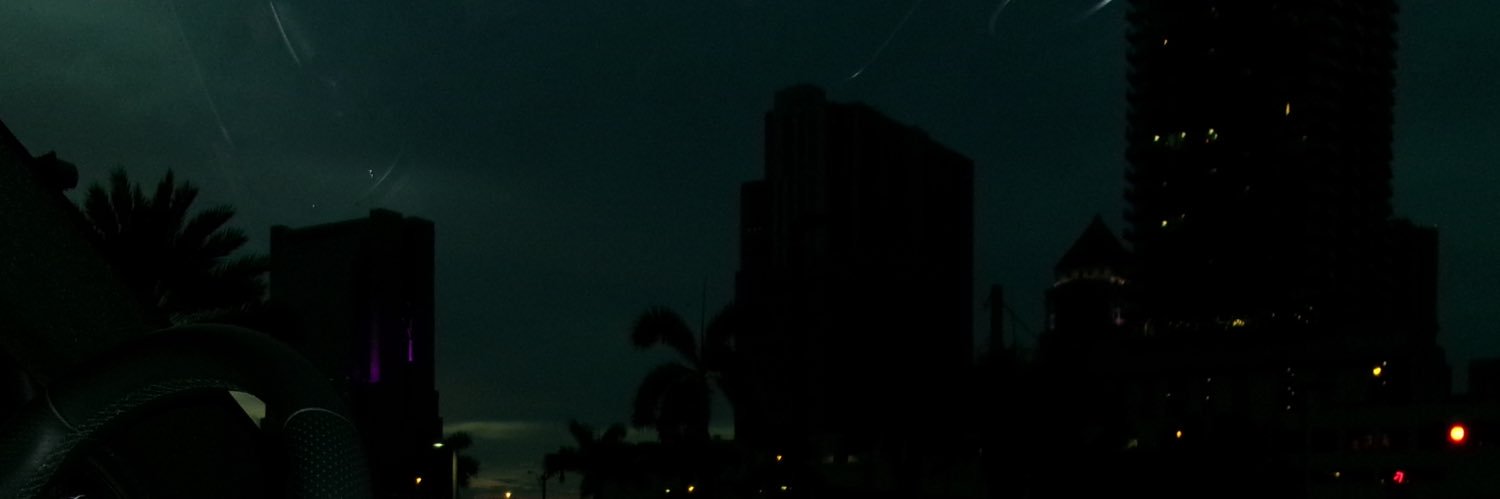 Shadia banner